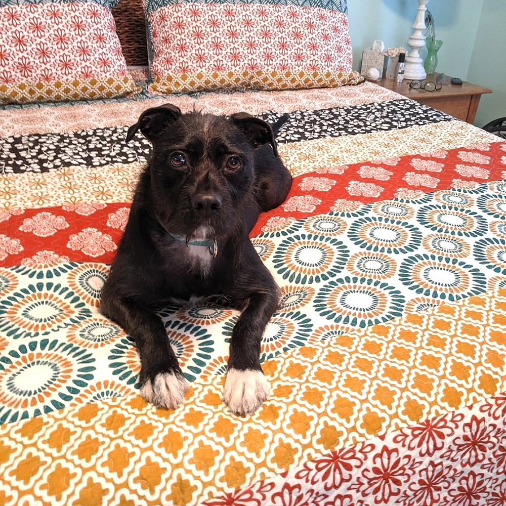 Meet your Posher, Debra